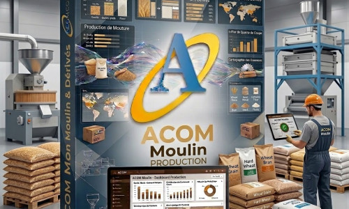 ERP Moulin Production